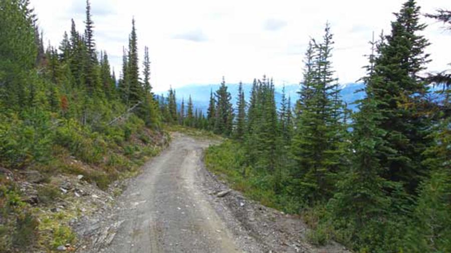 A very bumpy, grueling road to McBride Peak